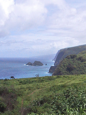 Hawaiis Straßenränder - Hawaii