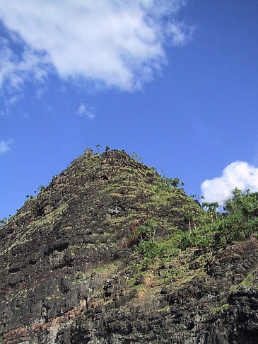 Steilküste - Hawaii