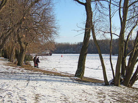 Eis im Wald - Berlin (Berlin)