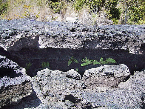 Erstarrte Lava - Hawaii