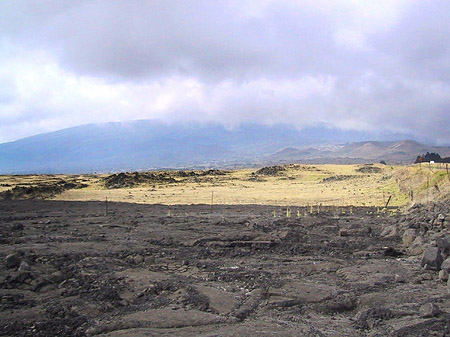 Foto Erstarrte Lava