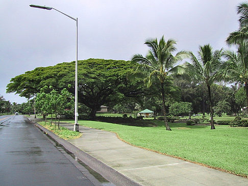 Hawaiis Straßenränder Fotos