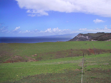 Landschaft auf Maui - Hawaii