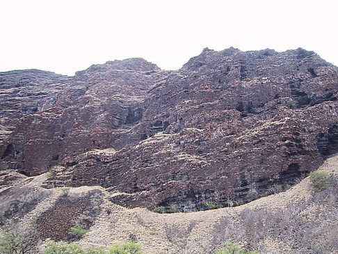 An den Straßenrändern - Hawaii