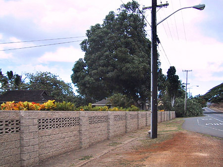 An den Straßenrändern - Hawaii