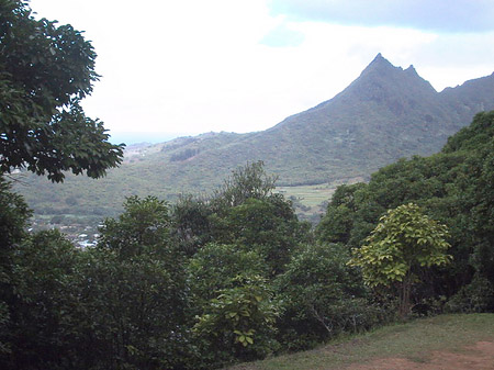 Blick über Oahou - Hawaii