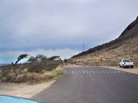 Straßen auf Oahou - Hawaii