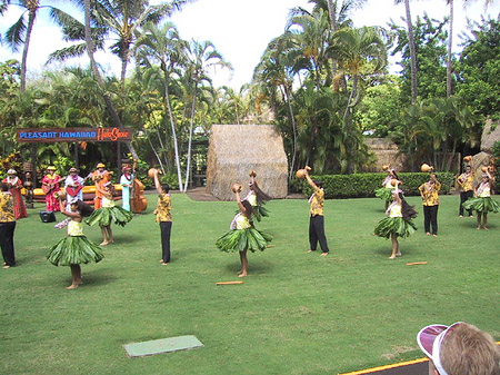 Hula Show Foto 