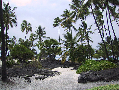 Der Strand von Hawaii - Hawaii