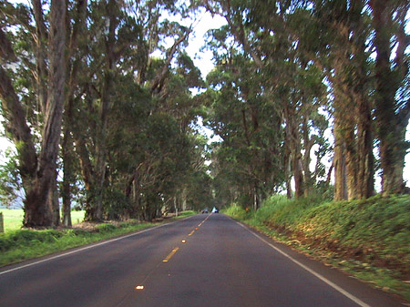 Foto Straßen auf Kauai