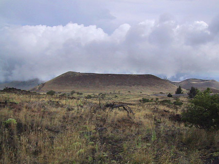 Trockene Landschaft - Hawaii