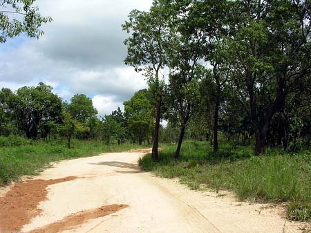 Straßen - Mpumalanga (Hazyview)